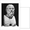 Bust Of Socrates by Anonymous