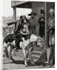 Messenger On Horseback Talks To Men by Anonymous