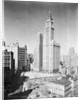Woolworth Building and City Hall Park by Anonymous