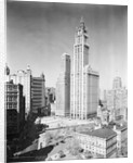 Woolworth Building and City Hall Park by Anonymous
