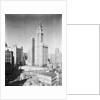 Woolworth Building and City Hall Park by Anonymous