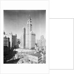 Woolworth Building and City Hall Park by Anonymous