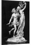 Bernini's Sculpture Apollo and Daphne by Anonymous