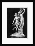 Bernini's Sculpture Apollo and Daphne by Anonymous