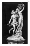 Bernini's Sculpture Apollo and Daphne by Anonymous