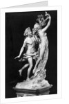 Bernini's Sculpture Apollo and Daphne by Anonymous