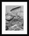 M. Garnerin In A Parachute,Illustration by Anonymous