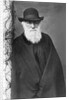 Charles Darwin by Anonymous