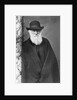 Charles Darwin by Anonymous