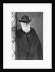 Charles Darwin by Anonymous