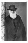 Charles Darwin by Anonymous