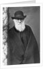 Charles Darwin by Anonymous