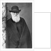 Charles Darwin by Anonymous