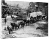 Horse Drawn Covered Wagon by Corbis