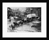 Horse Drawn Covered Wagon by Corbis