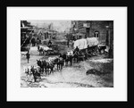 Horse Drawn Covered Wagon by Corbis