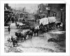 Horse Drawn Covered Wagon by Corbis