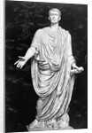 Statue Of Julius Caesar by Anonymous