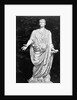 Statue Of Julius Caesar by Anonymous