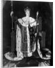Portrait Of Charles X In Coronation Robe by Anonymous