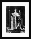 Portrait Of Charles X In Coronation Robe by Anonymous