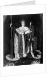 Portrait Of Charles X In Coronation Robe by Anonymous