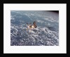 Skylab Space Station in Orbit Over Earth by Anonymous