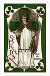 St. Patrick's Day Greetings Postcard by Anonymous