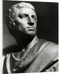 Statue Bust Of Marcus Junius Brutus by Anonymous