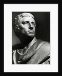 Statue Bust Of Marcus Junius Brutus by Anonymous