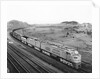 Overhead View of Large Freight Train by Anonymous