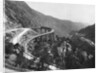 Train Traveling Over Viaduct in Mountain by Anonymous