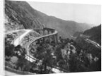 Train Traveling Over Viaduct in Mountain by Anonymous