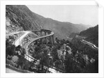 Train Traveling Over Viaduct in Mountain by Anonymous