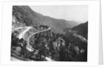 Train Traveling Over Viaduct in Mountain by Anonymous