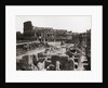 Roman Colosseum and Surrounding Ruins by Anonymous