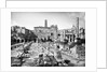 Ruins of the Forum in Rome/Pillars by Anonymous