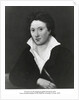 Portrait of Percy Bysshe Shelley by Anonymous