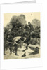 Mounted Police Tangle with Mob by Anonymous