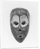 Bateke Circumcision Mask by Anonymous