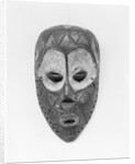 Bateke Circumcision Mask by Anonymous