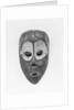 Bateke Circumcision Mask by Anonymous