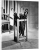 Five Umbrellas In An Umbrella Stand by Anonymous
