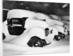 Cars Buried by Heavy Snowfall