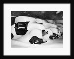 Cars Buried by Heavy Snowfall