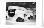 Cars Buried by Heavy Snowfall