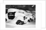 Cars Buried by Heavy Snowfall