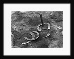 Horseshoes Around Pole by Anonymous