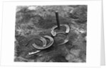 Horseshoes Around Pole by Anonymous
