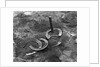 Horseshoes Around Pole by Anonymous